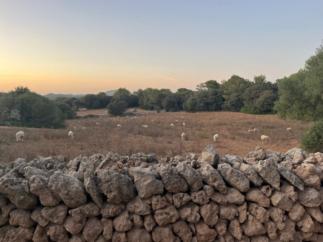 Au-delà de la carte du spa : ce que le bien-être signifie vraiment