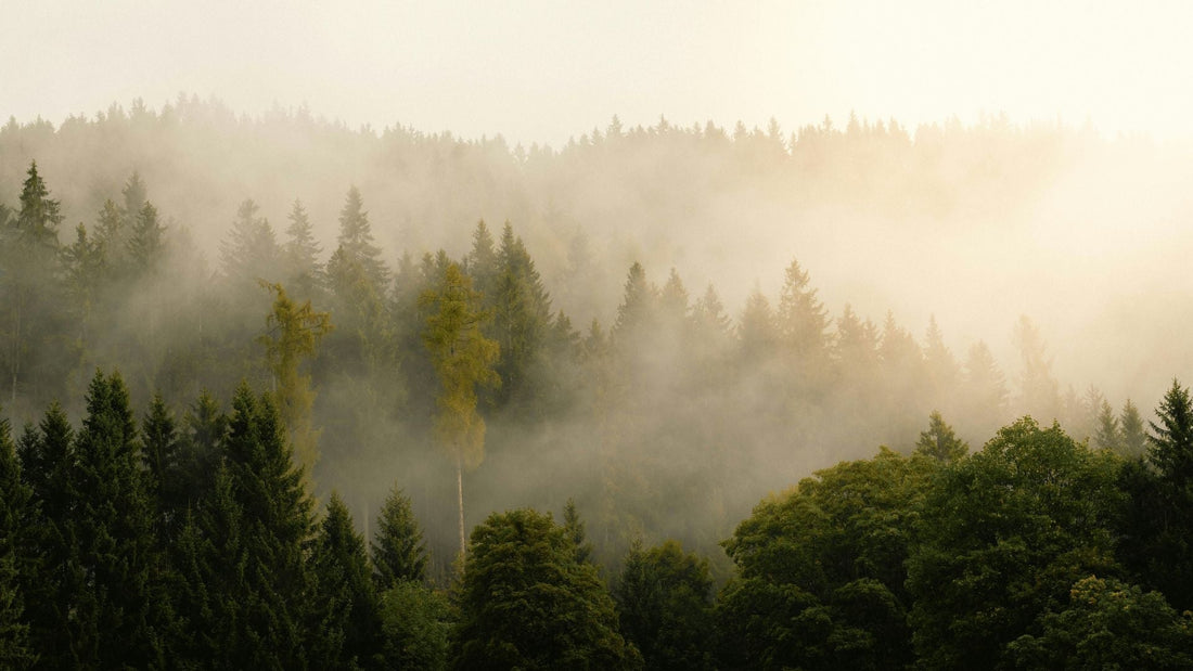 Le Souffle Entre Deux Mondes — Quand le Calme Nous Retrouve au Milieu du Bruit