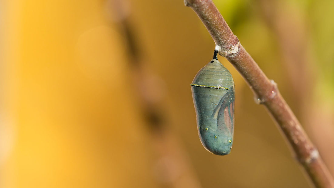 Let Me Not Feel Better. Really, I’m Ok.