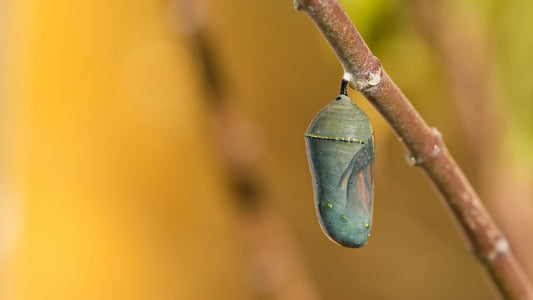 Let Me Not Feel Better. Really, I’m Ok.